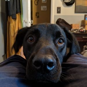 Meet your Posher, Todd